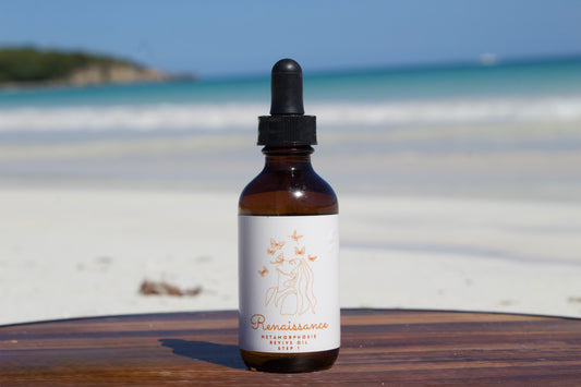 Metamorphosis Revive Oil – Nourishing Hair Elixir (Step 1)